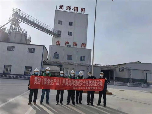 筑牢安全防線，保障市場供應——市畜牧業服務中心開展春節前飼料生產企業安全生產與銷售專項檢查